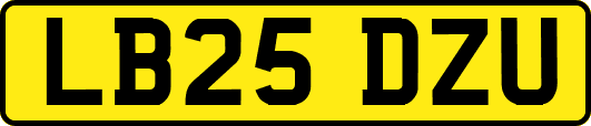 LB25DZU