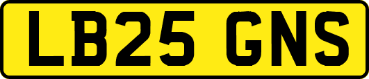LB25GNS