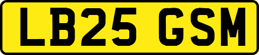 LB25GSM