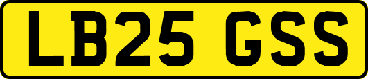 LB25GSS