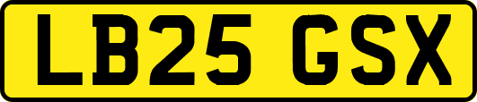 LB25GSX
