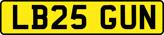 LB25GUN