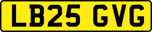 LB25GVG