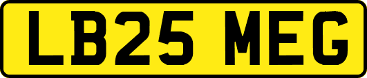 LB25MEG