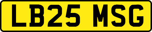 LB25MSG