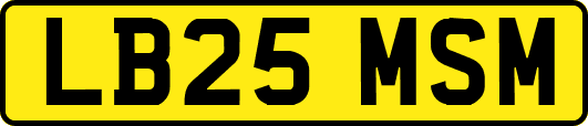 LB25MSM