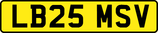 LB25MSV