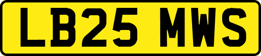 LB25MWS