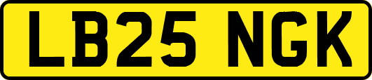 LB25NGK