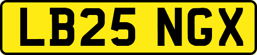 LB25NGX