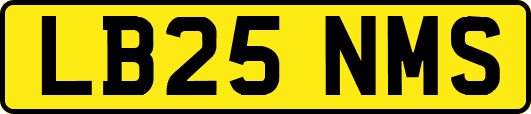 LB25NMS