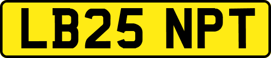 LB25NPT