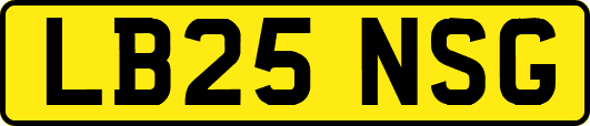 LB25NSG