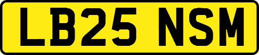 LB25NSM