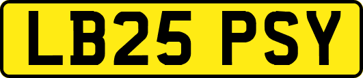 LB25PSY