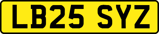 LB25SYZ