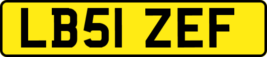 LB51ZEF
