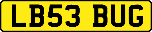 LB53BUG