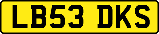 LB53DKS