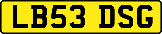 LB53DSG