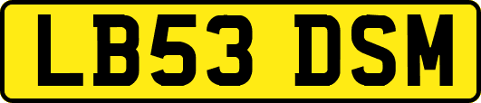 LB53DSM