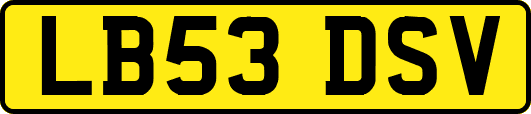 LB53DSV
