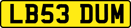 LB53DUM