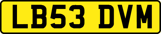 LB53DVM