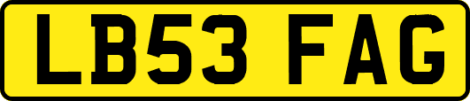 LB53FAG