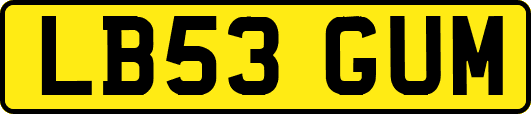 LB53GUM