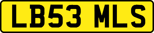 LB53MLS