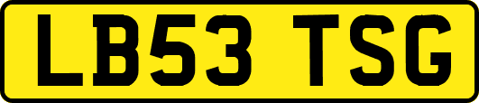 LB53TSG