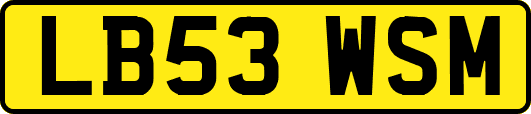 LB53WSM