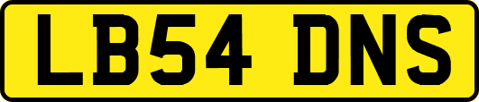 LB54DNS