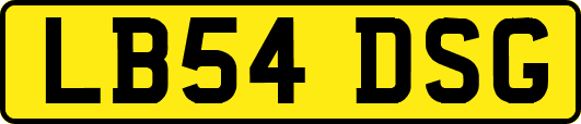 LB54DSG