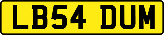LB54DUM