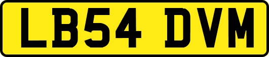 LB54DVM
