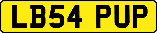 LB54PUP
