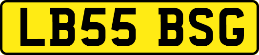 LB55BSG