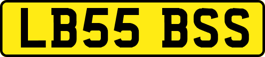 LB55BSS