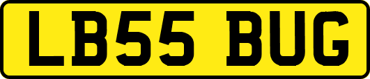 LB55BUG