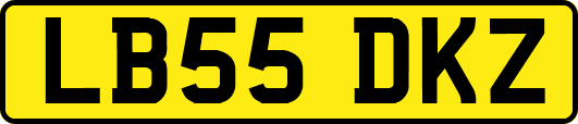 LB55DKZ