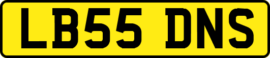 LB55DNS