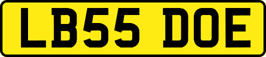 LB55DOE