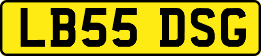 LB55DSG
