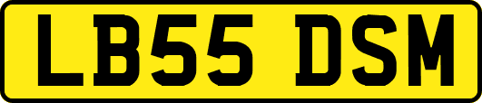 LB55DSM