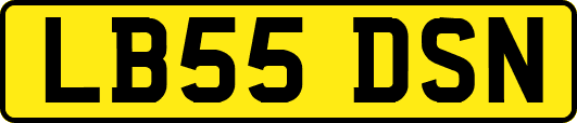LB55DSN
