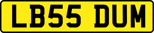 LB55DUM