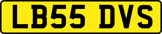 LB55DVS