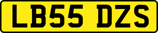 LB55DZS